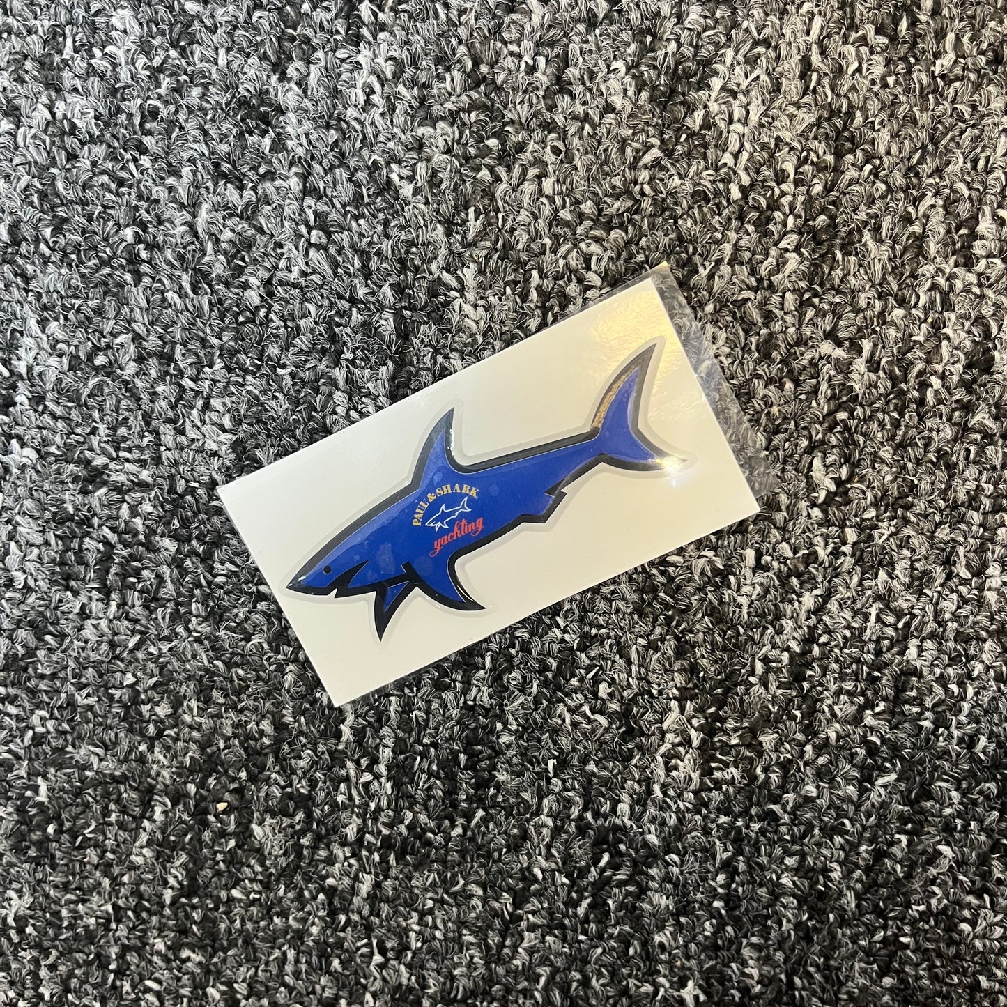 Shark bleu foncée