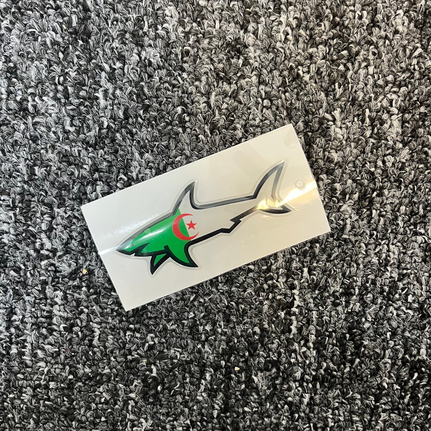 Shark Algérie