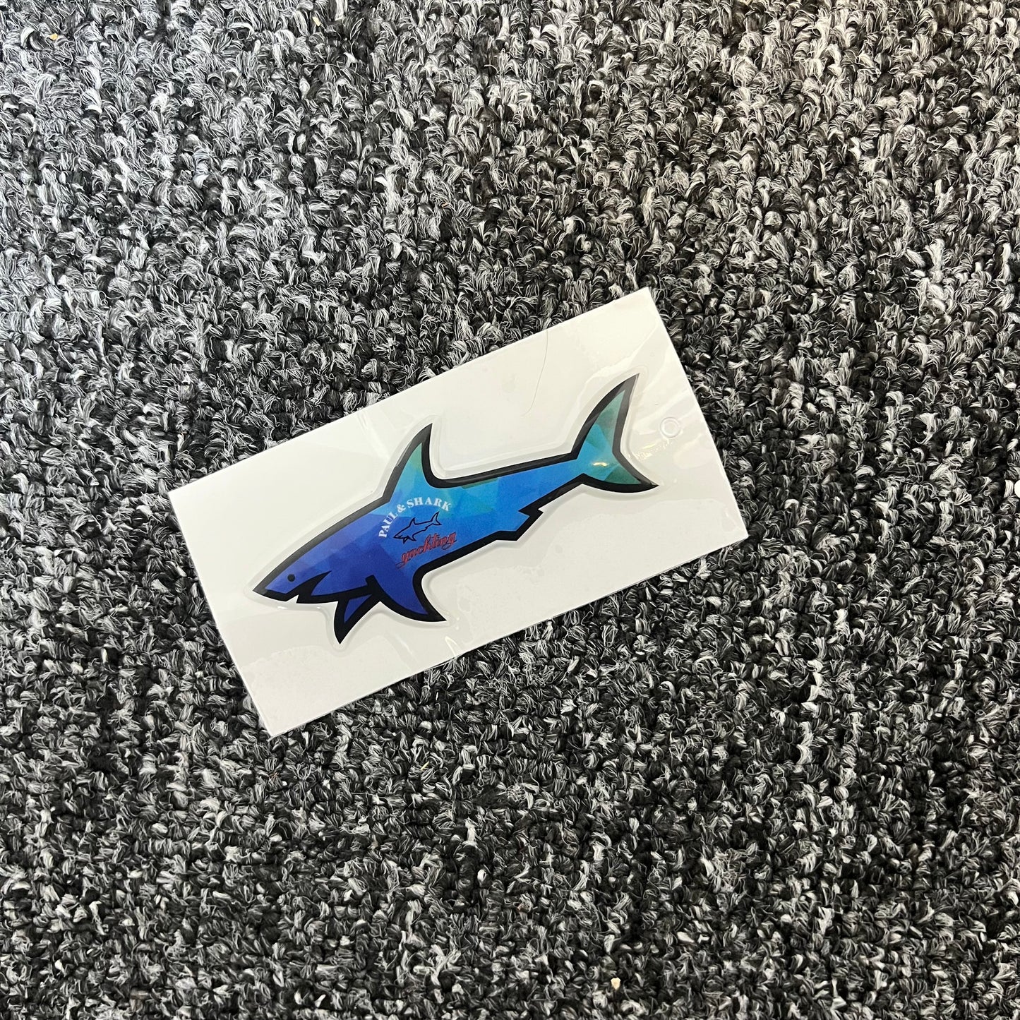 Shark ocean