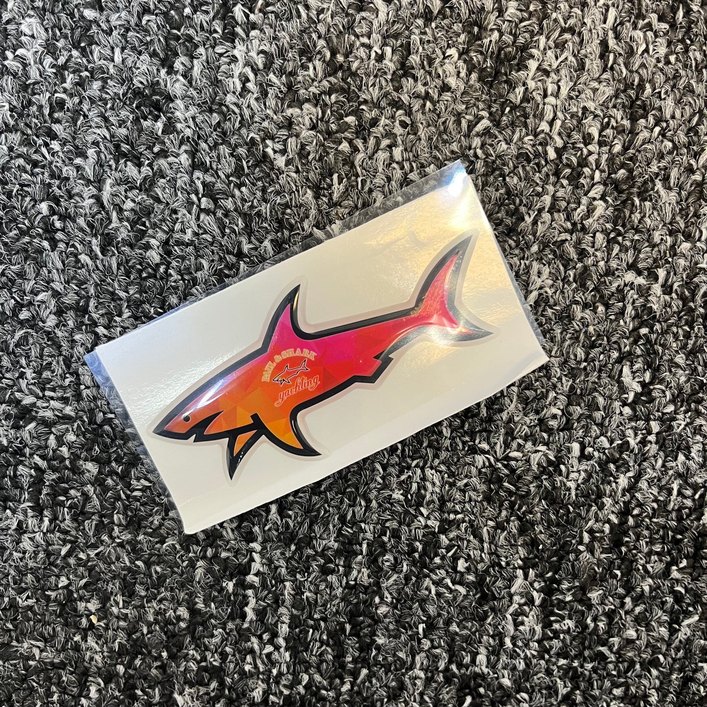 Shark couché de soleil