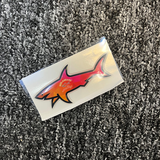Shark couché de soleil